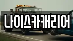 나이스카캐리어