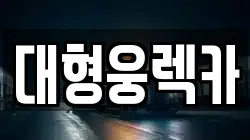 대형웅렉카