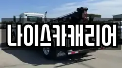 나이스카캐리어