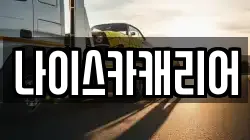 나이스카캐리어