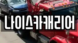 나이스카캐리어