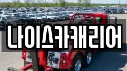 나이스카캐리어