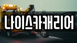 나이스카캐리어