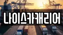 나이스카캐리어