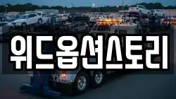위드옵션스토리