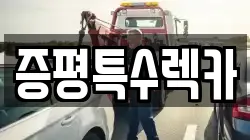 증평특수렉카
