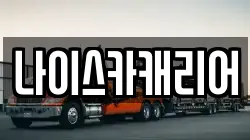 나이스카캐리어