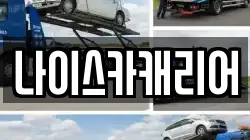 나이스카캐리어