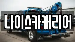 나이스카캐리어