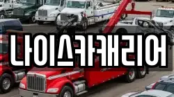 나이스카캐리어