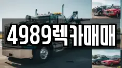 4989렉카매매