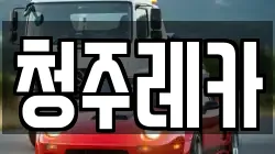 청주레카