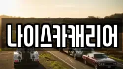 나이스카캐리어
