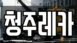 청주레카