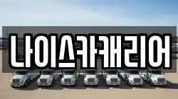 나이스카캐리어