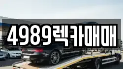 4989렉카매매