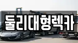 둘리대형렉카