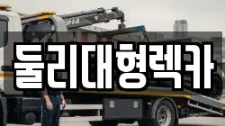 둘리대형렉카