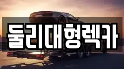 둘리대형렉카