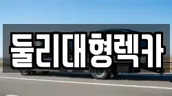 둘리대형렉카