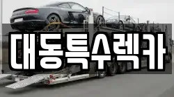 대동특수렉카