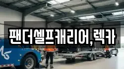 팬더셀프캐리어,렉카
