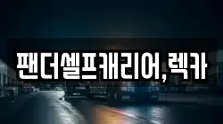 팬더셀프캐리어,렉카