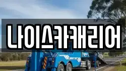 나이스카캐리어