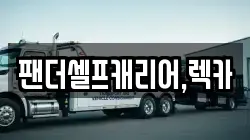 팬더셀프캐리어,렉카