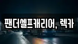 팬더셀프캐리어,렉카