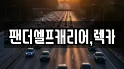 팬더셀프캐리어,렉카