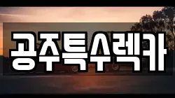 공주특수렉카