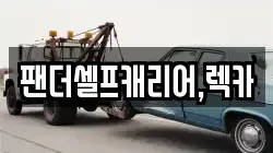 팬더셀프캐리어,렉카