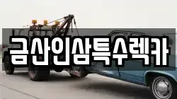 금산인삼특수렉카