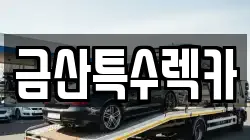 금산특수렉카