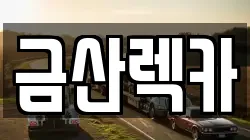 충청남도 금산군 렉카, 특수렉카, 차량탁송, 견인운송