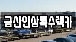 금산인삼특수렉카
