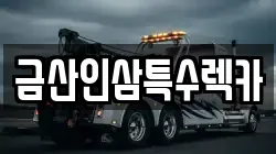 금산인삼특수렉카