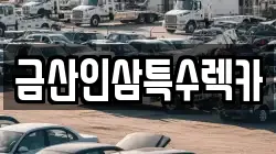금산인삼특수렉카