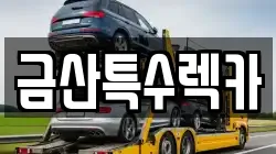 금산특수렉카