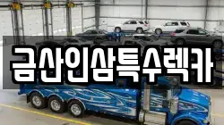 금산인삼특수렉카