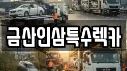 금산인삼특수렉카