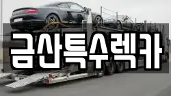금산특수렉카