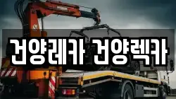 건양레카 건양렉카