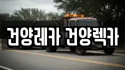 건양레카 건양렉카