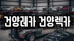 건양레카 건양렉카