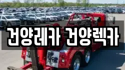 건양레카 건양렉카