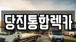 충청남도 당진시 원당동 렉카, 특수렉카, 차량탁송, 견인운송