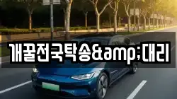 개꿀전국탁송&대리