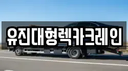 충청남도 당진시 합덕읍 렉카, 특수렉카, 차량탁송, 견인운송